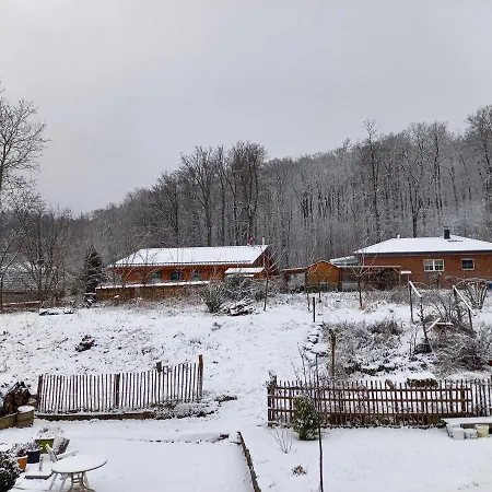 Zwoelfenstein Mit 3 Dtv Sternen Ausgezeichnet Bad Harzburg