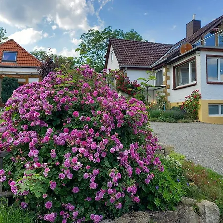 Дом отдыха Zwoelfenstein Mit 3 Dtv Sternen Ausgezeichnet Бад-Гарцбург